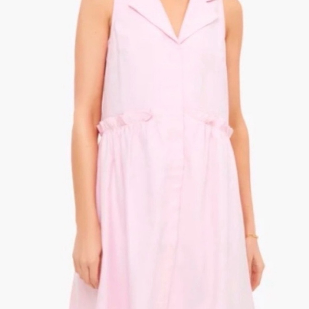Soft Pink Collared Tuckernuck Dress XS